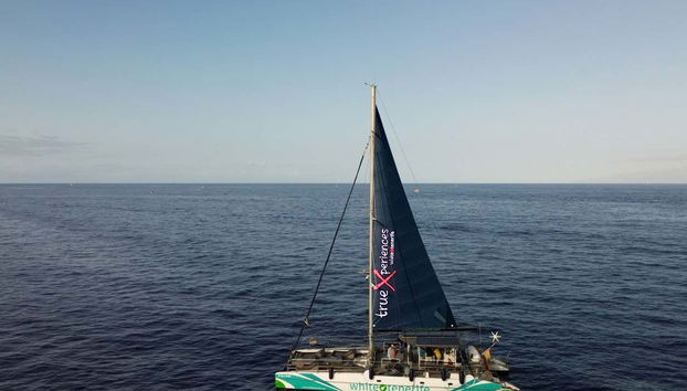 Divisaremos los cetáceos desde el barco