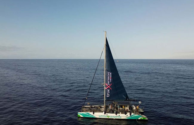 Passeio de catamarã de 3 horas com avistamento e escuta de cetáceos - Foto 2