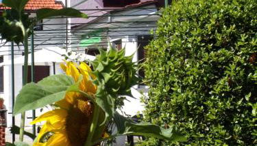 Casa Vacanze Terra di Mezzo - Foto 4, Garden, Garden view