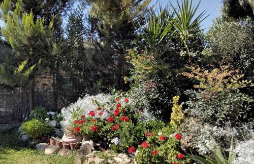 Elia by the sea - Photo 12