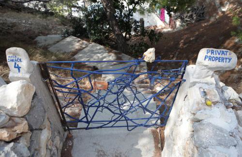 Robinson Erina - Photo 7