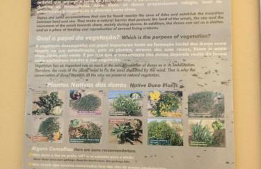 Cantinho Solpraia - Foto 17