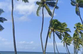 Brisa do Mar Beach House a 100m da Praia - Foto 20