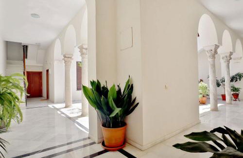 Pedro Lopez Free Parking Cordoba Center - Photo 18