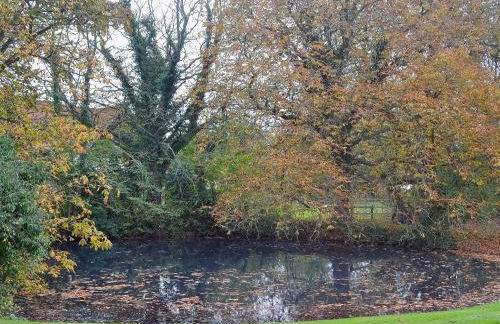 The Cottage - Foto 13