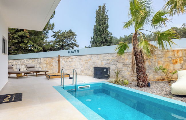 D Palm Premium Living - Foto 68