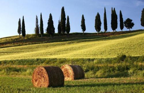 Palazzo Alle Mura - Foto 52