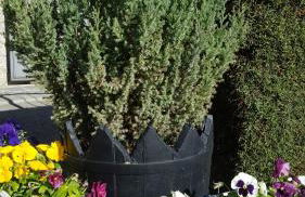 Aparta-Hotel Puertolas - Photo 31