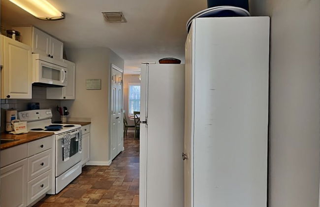 Blue Curlew - Photo 12