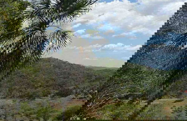 Pilgrim's Paradise Cabin 2 - Photo 16