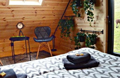 Domki Pod Cerkwią - Foto 16