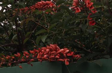 Kitnet Pousada da T - Foto 11