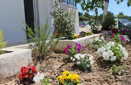 Nana's studios - Photo 36