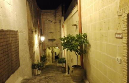 Domusfrumenti - Foto 10