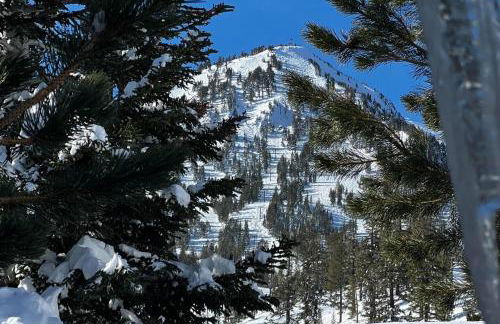 Guest Favorite Spacious Remodeled 2 Bdrm 2 Ba Mountain Views - Photo 14