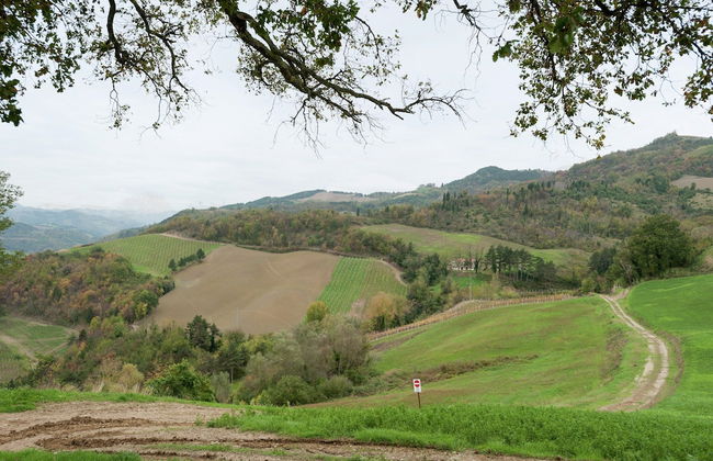 Belvilla by OYO Borgata Porpora Due - Photo 21