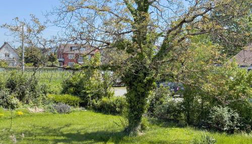 Ferienwohnungen Gierer - Photo 3