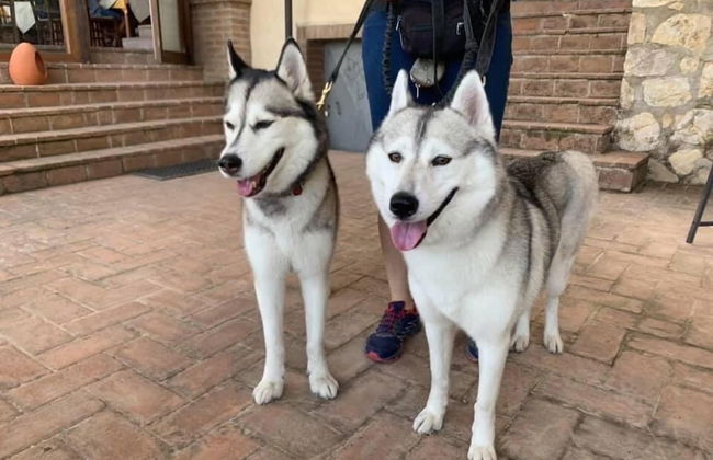 Setter House Agri Hotel - Foto 76