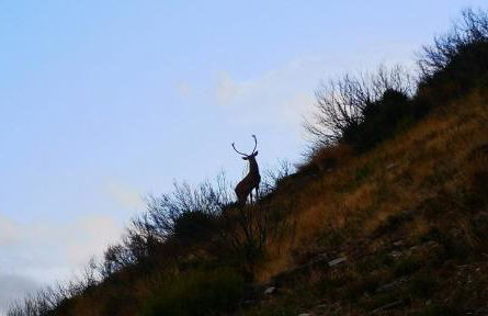 Em Xisto - Casas de Montanha - Casa Xisto Nascente - Foto 12