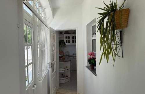 Solar dos Lirios - Foto 51