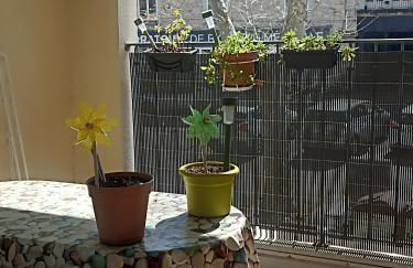 Mauguio-Carnon Appartement, Tout Confort, Clim, Wifi, Balcon, Parking privé couvert, 15 min de la Mer, de Montpellier - Foto 10