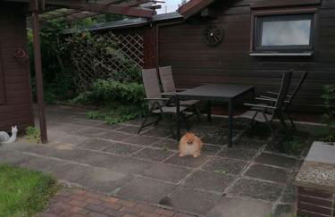 Ruhe und Entspannung in Haus und Garten - Foto 11