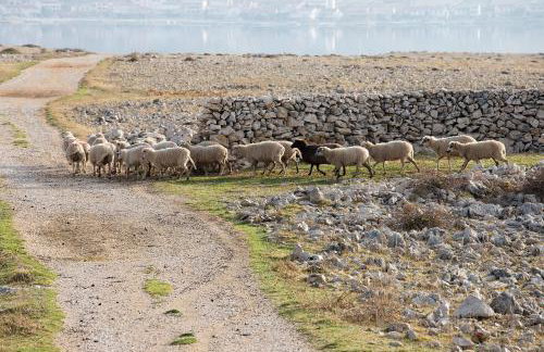 Toncica Sunny terrace with seaview and shaded BBQ area - Foto 55