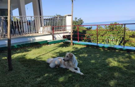 Il Corbezzolo Tropea Residence - Foto 21