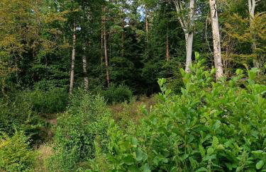 Domek Letniskowy Oktawin - Foto 18