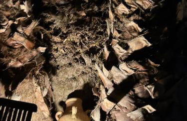 Villa Rosa - Foto 44