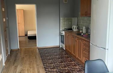 Apartament Gajewniki - Foto 5