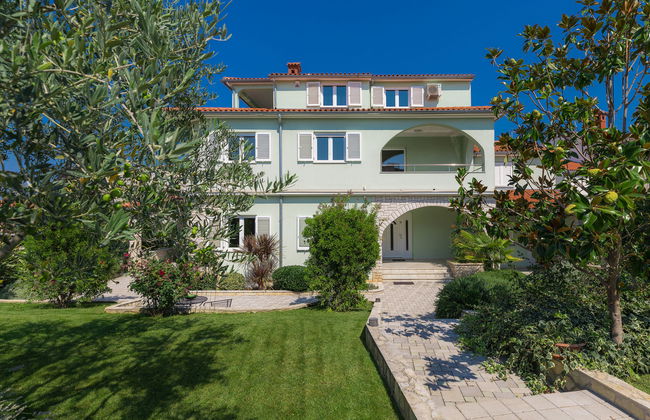 Salamander - Foto 34