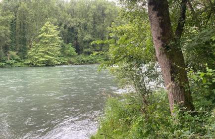 Gîte les Charmilles - Foto 22