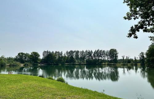 La Feuille - Cabane isolée avec vue sur étang, terrasse privée & pêche - Foto 16