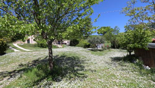 B&B Bosimano - Foto 4