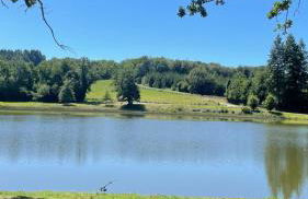 Grande maison conviviale - Foto 1