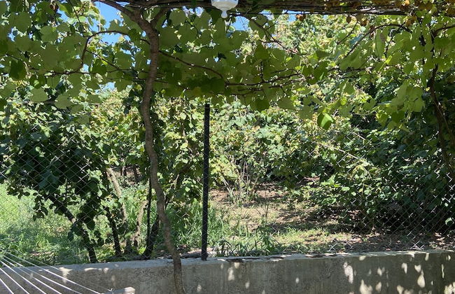 Cakil Apart - Photo 39