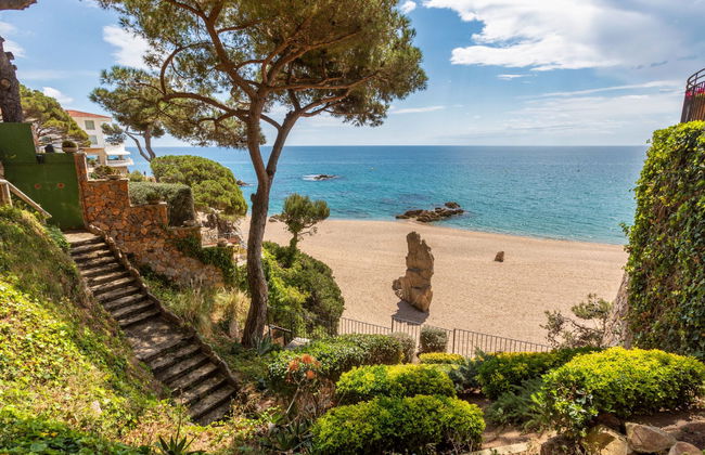 Cavall Bernat - Foto 18