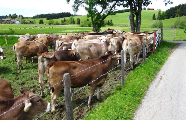 Sandra Comfortable Holiday Residence - Foto 16