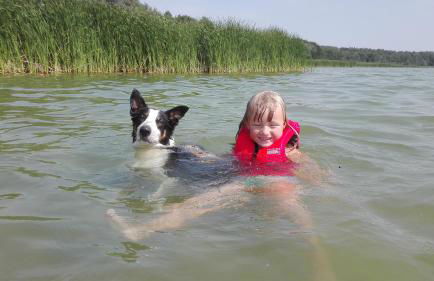 Haus Arendsee - Foto 26