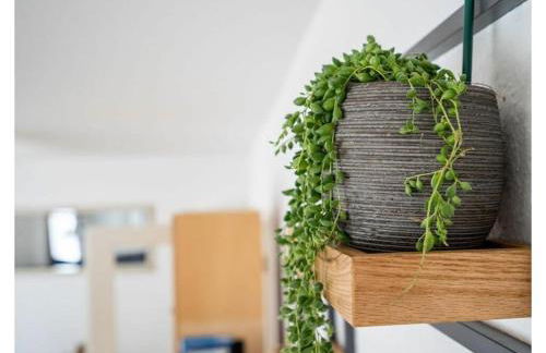 FeHaus Am Walnussbaum - Foto 16