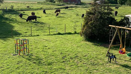 Ferienhaus Immerlicht Norddeich S-H - Foto 5