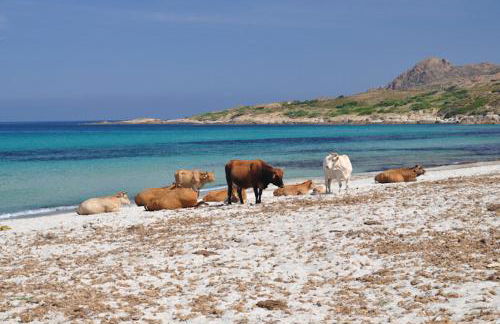 APPART CLIMATISE / TERRASSE A 2 MIN DE LA PLAGE - Foto 21