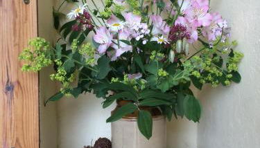 Valerian - Foto 2, Lobby or reception