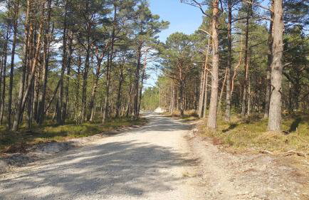 Magico Posto - Foto 70