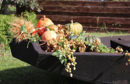 Ferienanlage Am Nahkegraben - Foto 40