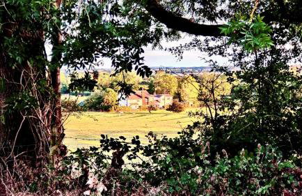 Fern Cottage - Foto 18