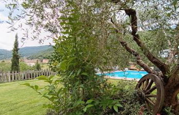 Agriturismo L'Essiccatoio - Foto 80