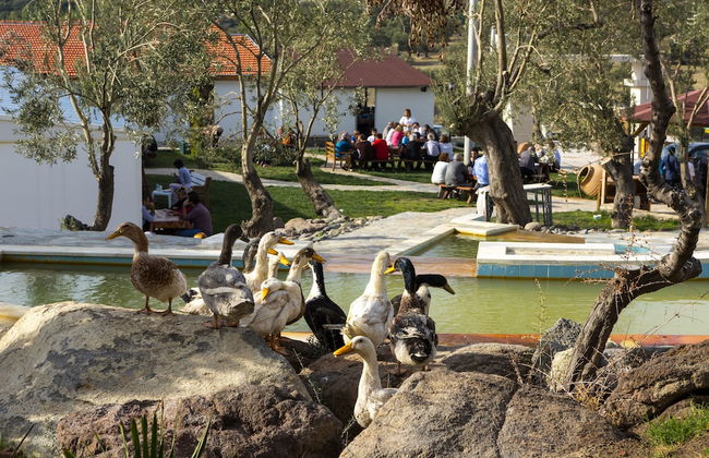 Merada Termal Hotel & Spa - Foto 29