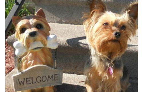 Kingfisher cottage, free parking - Foto 11